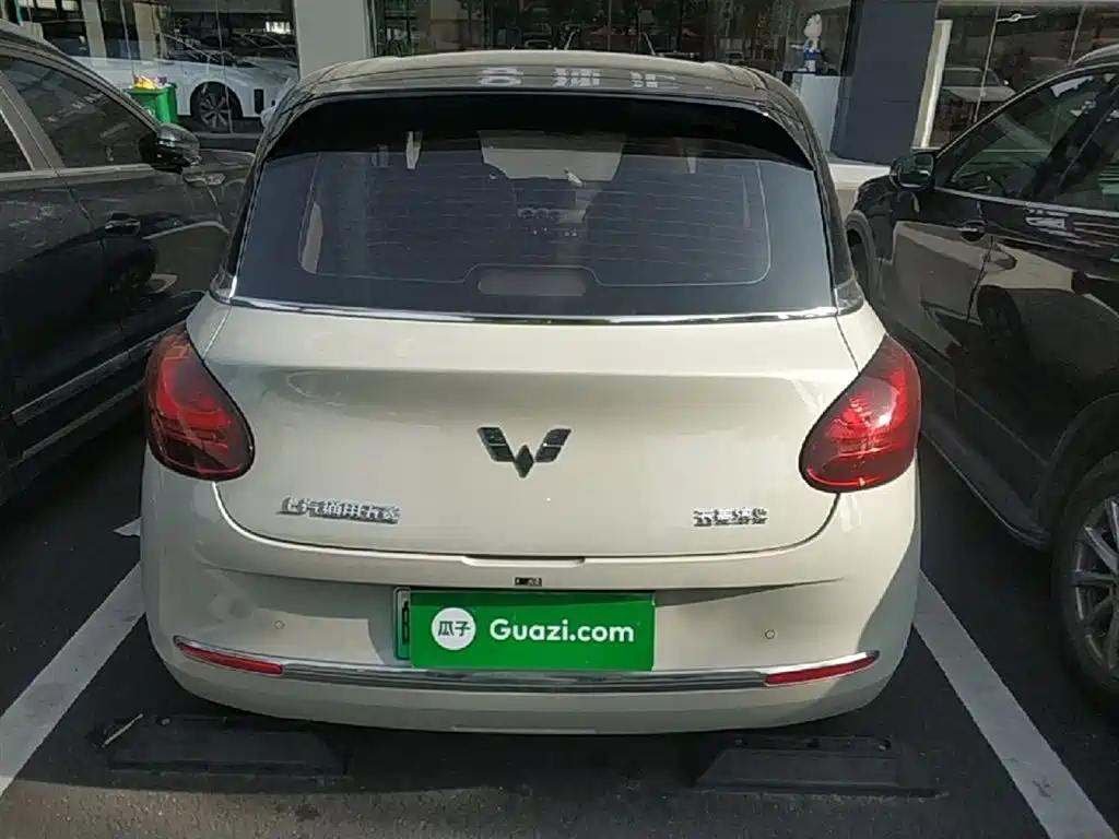 Wuling Binguo 2023 333km