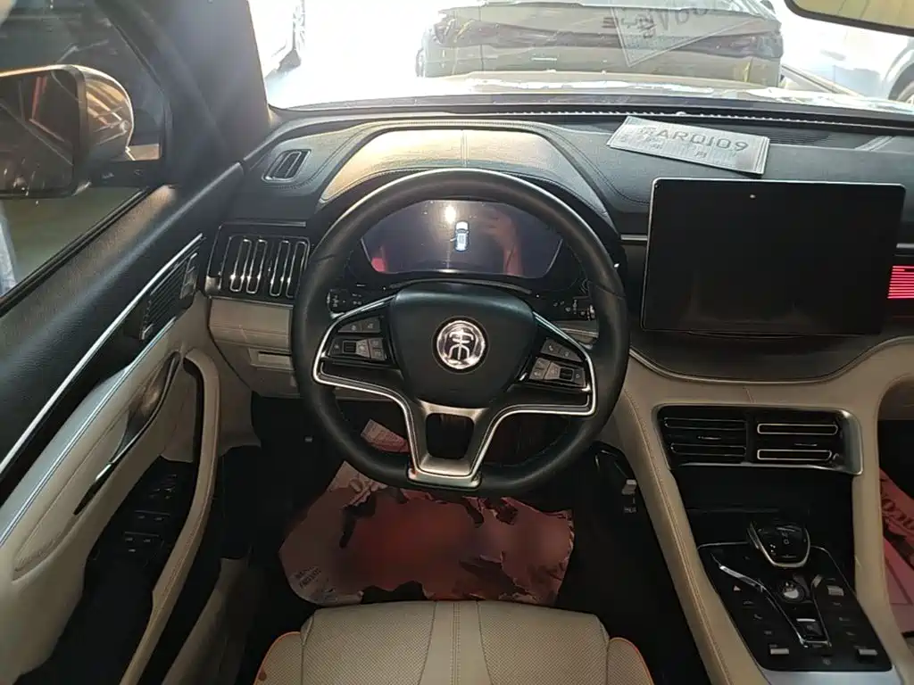 BYD PLUS New Energy — миниатюра 11