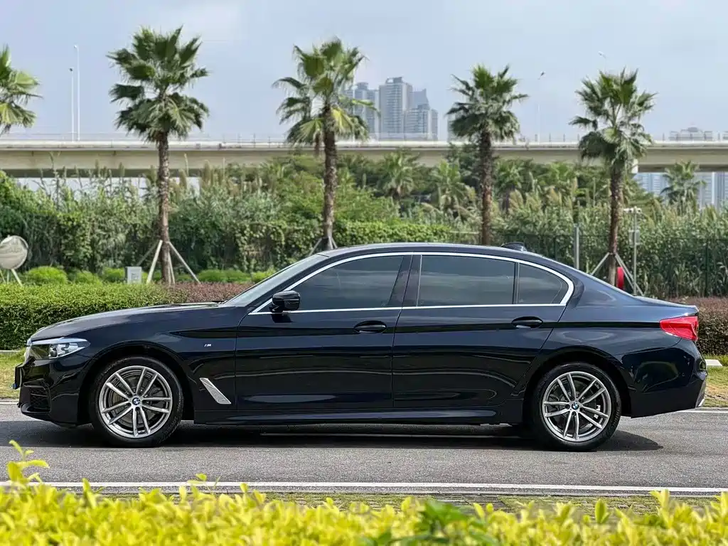 BMW 5 Series 5 2020 525Li M Sport