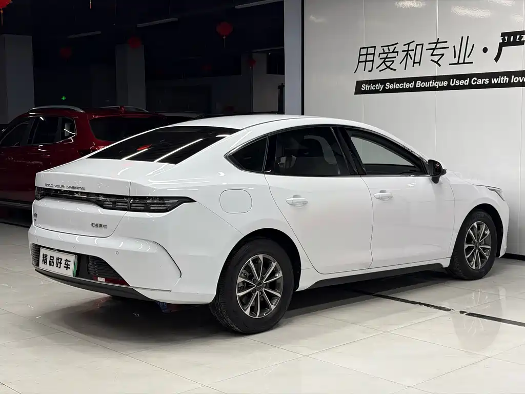 BYD Destroyer 05 2024 DM-i 55KM Luxury