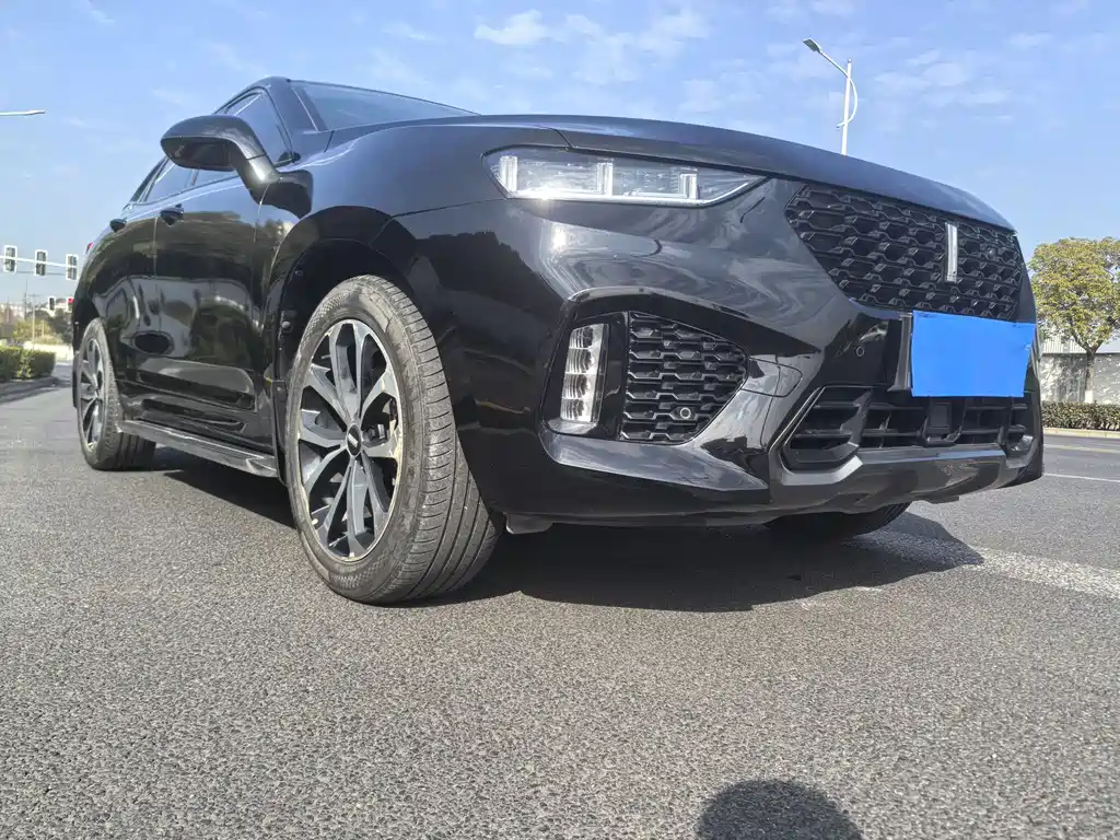 WEI PAI WEI BRAND VV7