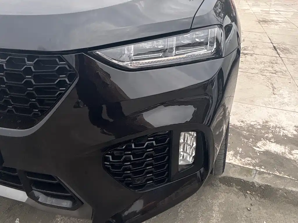 WEI PAI WEI BRAND VV7