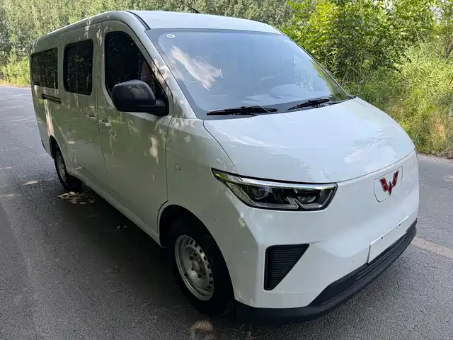 2024 Wuling Motors Yangguang
