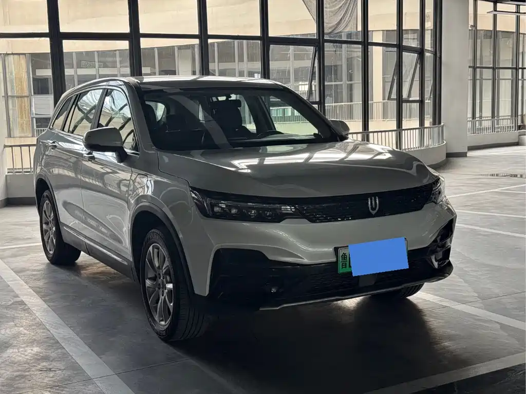 Skyworth EV6 — миниатюра 3