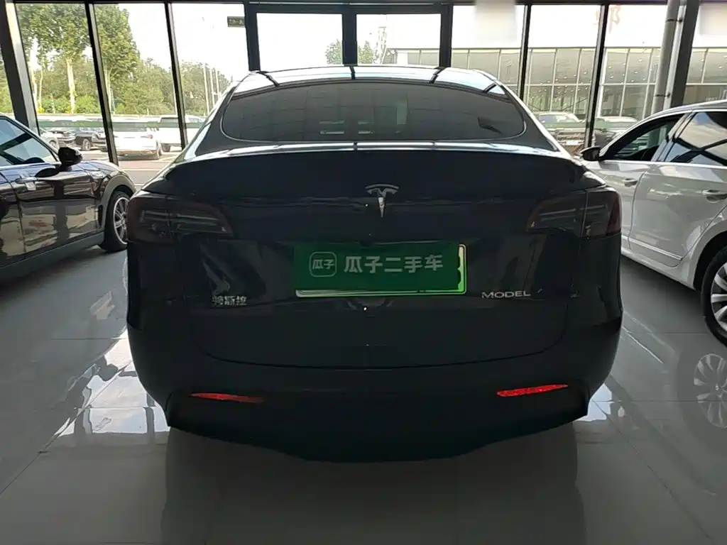 Tesla Model Y — миниатюра 6