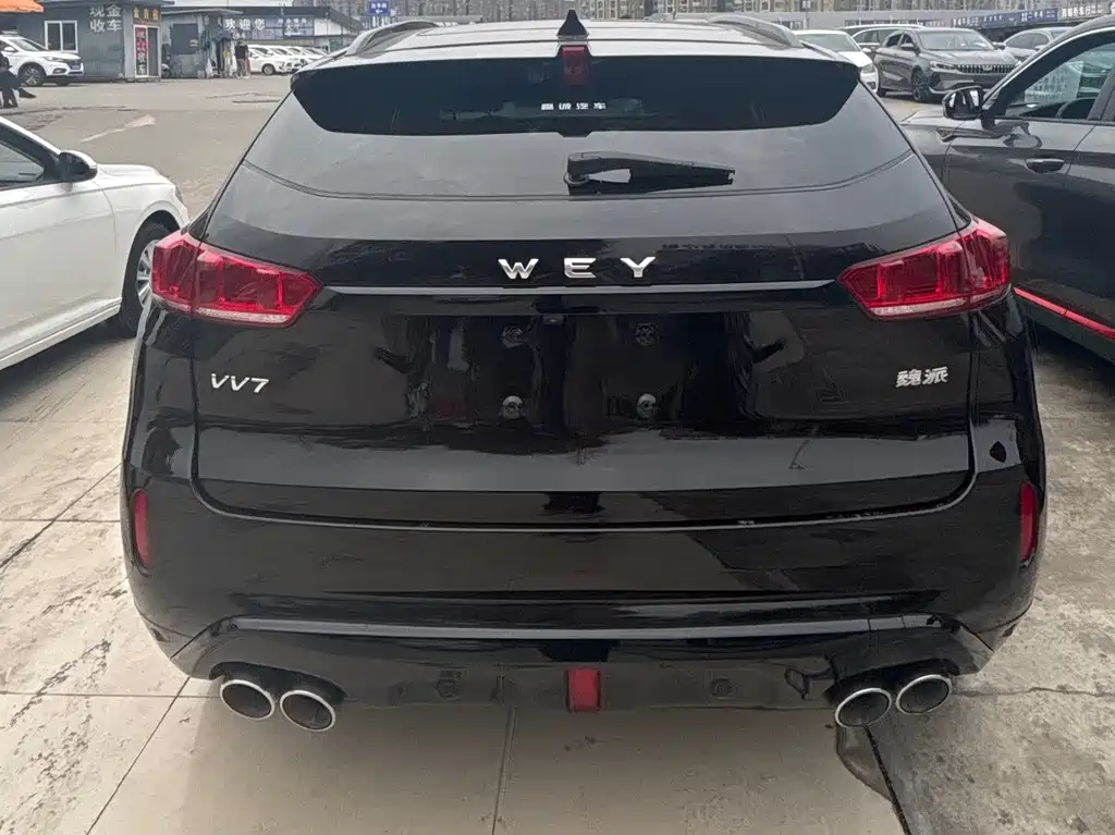 WEI PAI WEI BRAND VV7