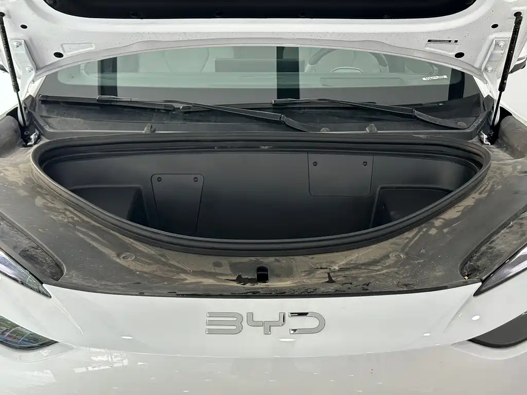 BYD SEA LION 06 NEW ENERGY