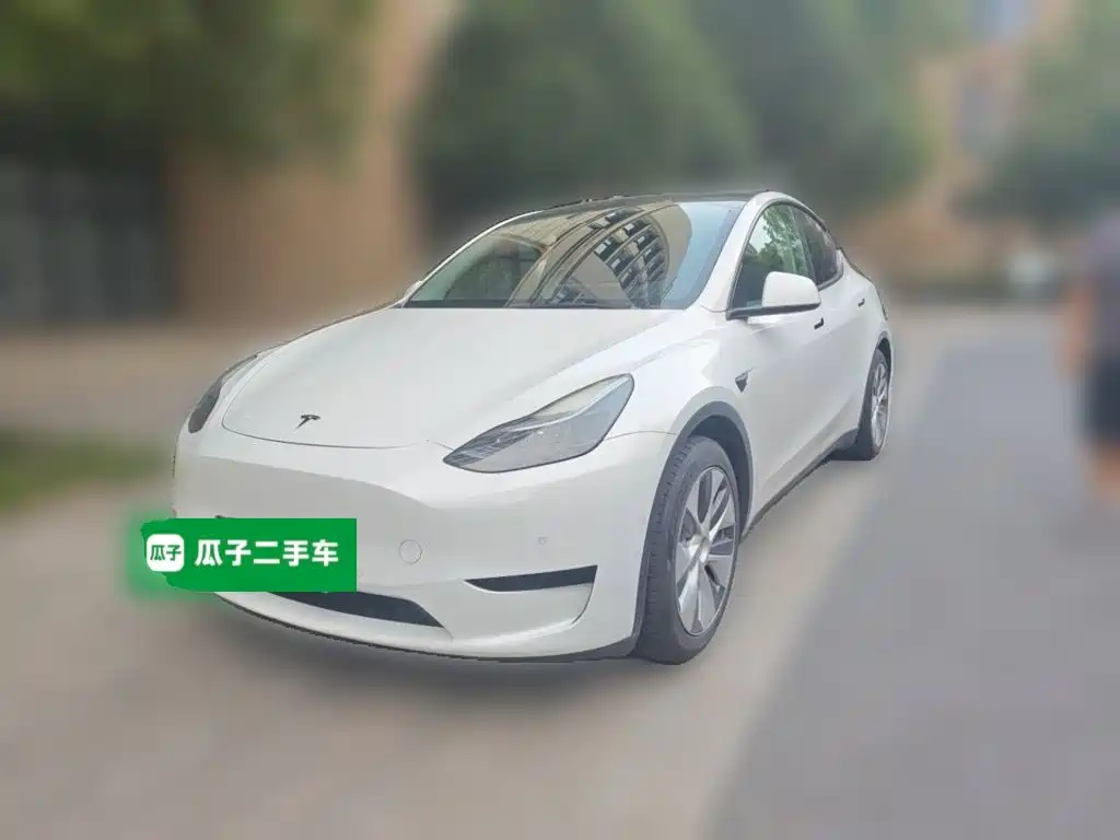 Tesla Model Y — миниатюра 2
