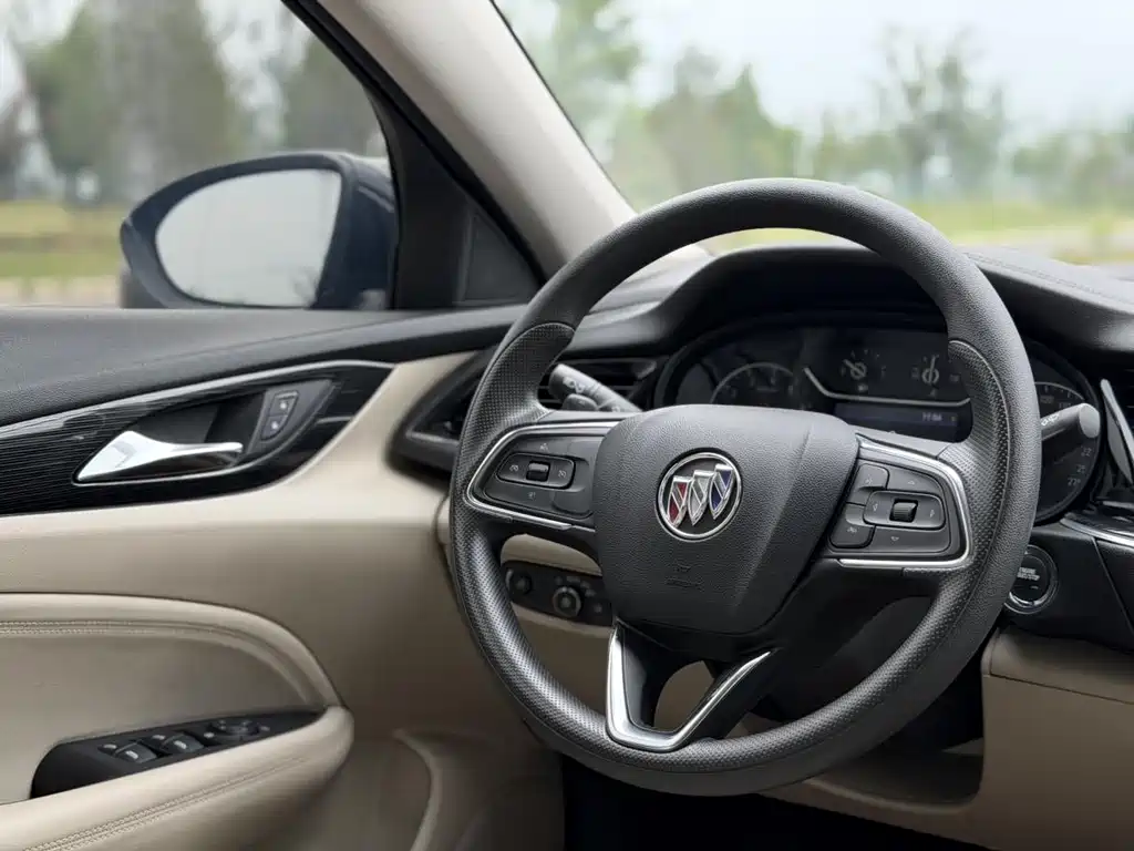 Buick Regal — миниатюра 13