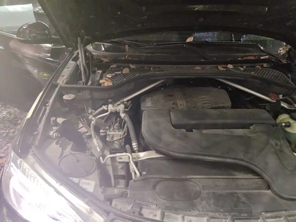 BMW X5 (Import) — миниатюра 19