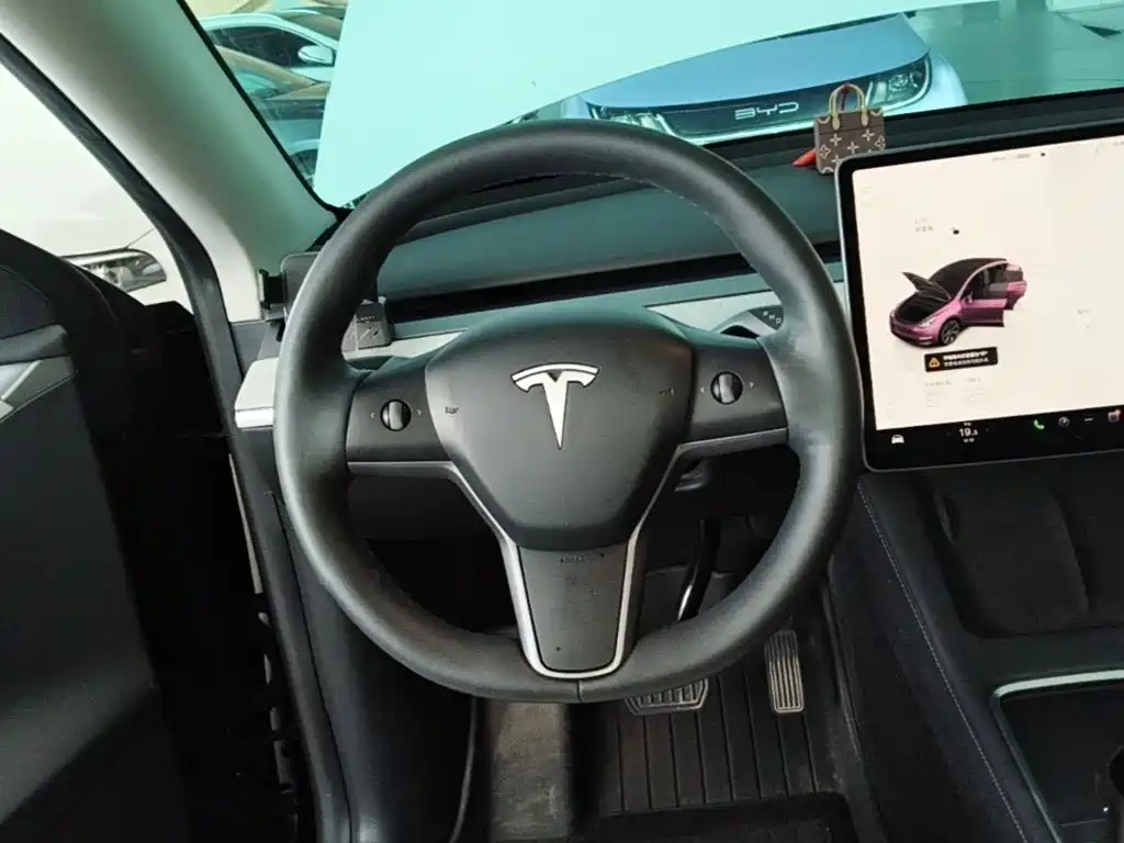 Tesla Model Y — миниатюра 11