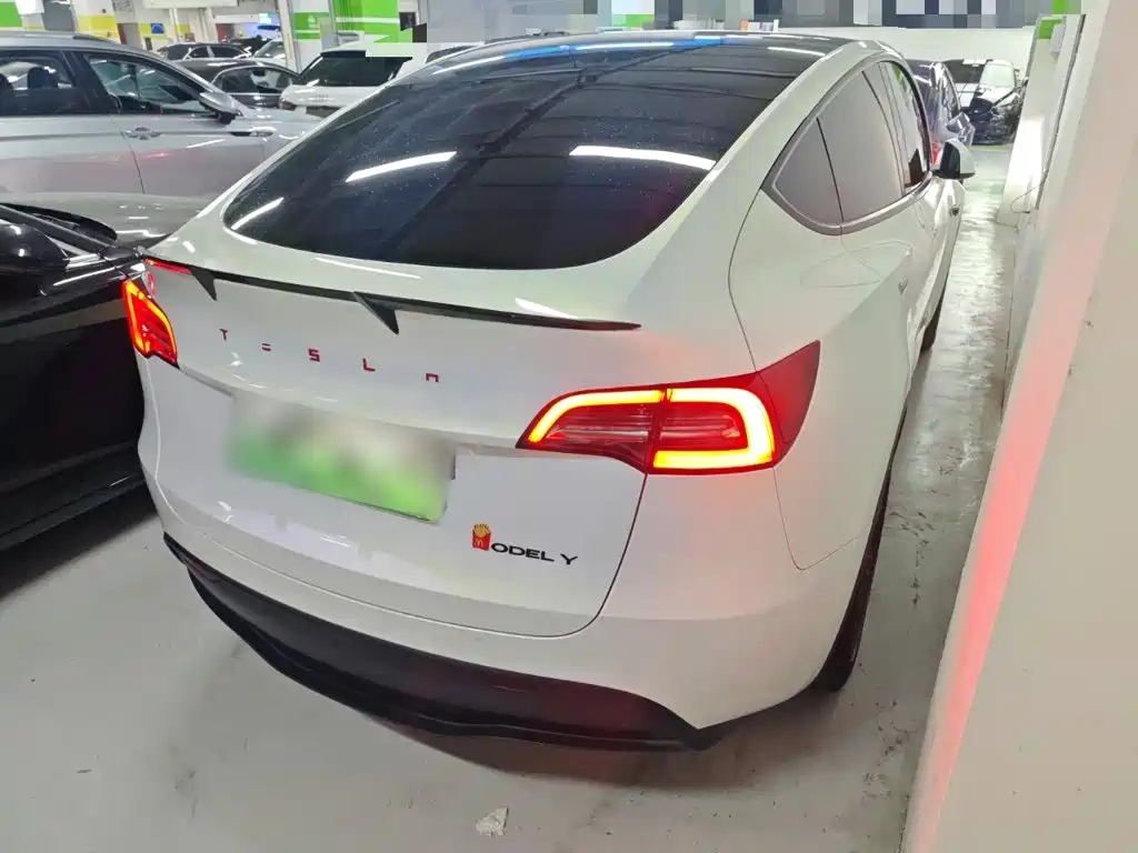 Tesla Model Y — миниатюра 5