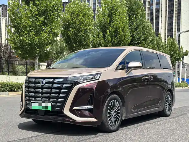 2023 Denza D9