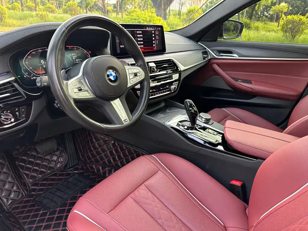 BMW 5 Series — миниатюра 5