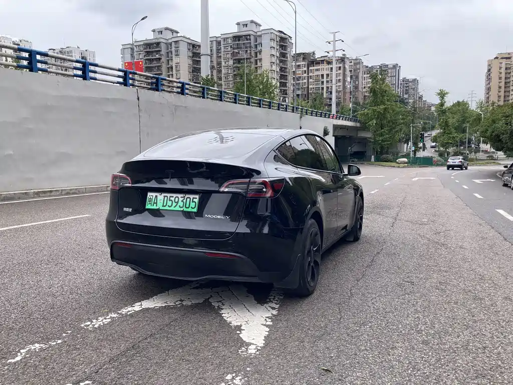 Tesla Model Y — миниатюра 11