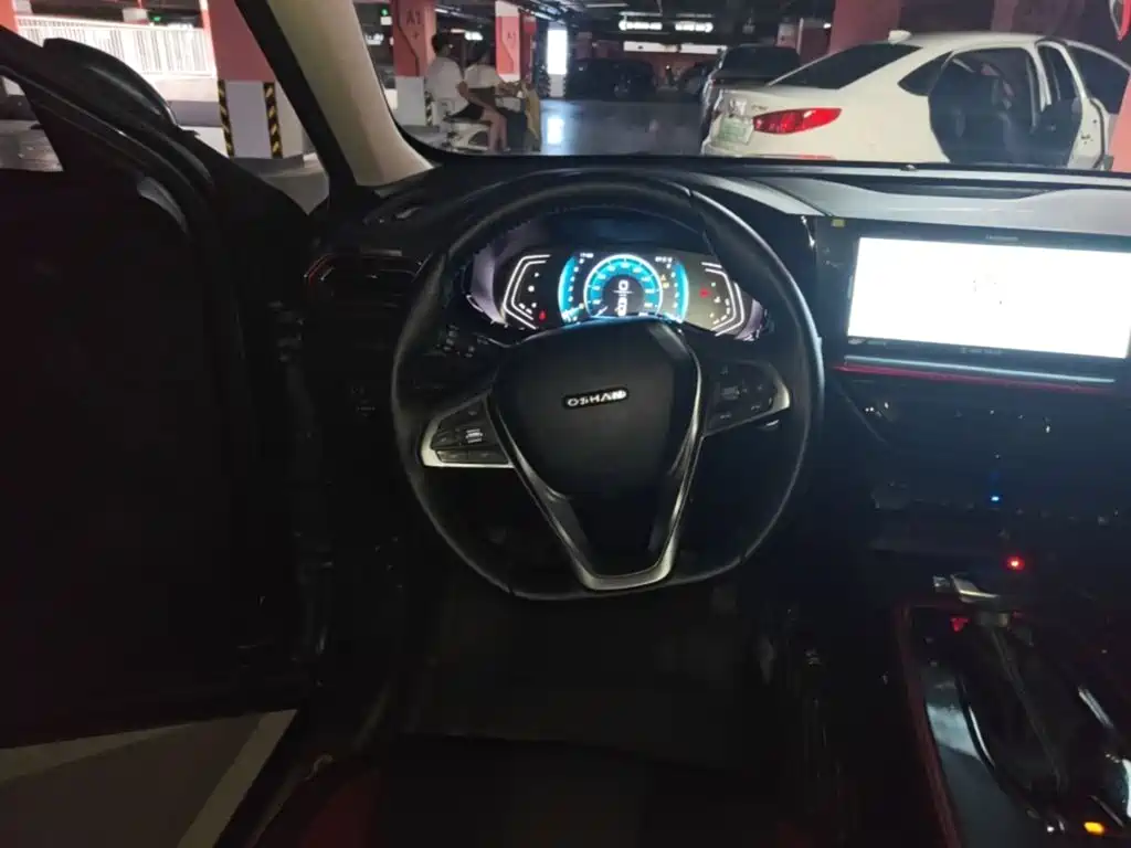 Oshan Oushang X5 — миниатюра 11