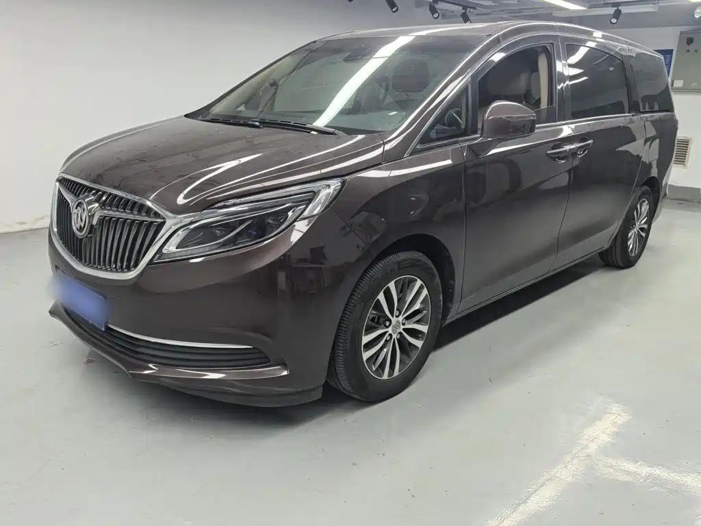 Buick GL8 — миниатюра 3