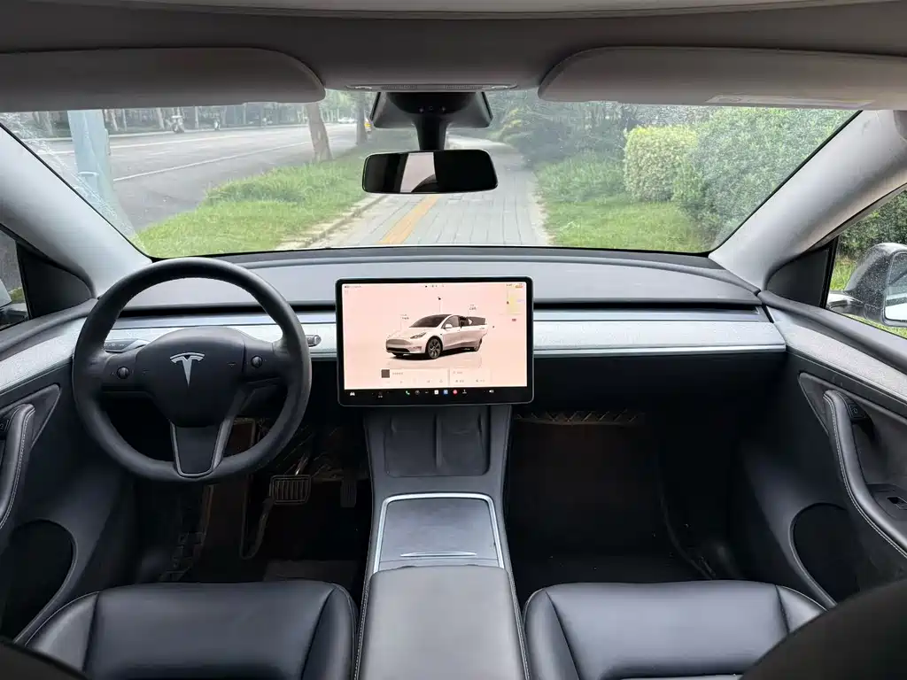 Tesla Model Y — миниатюра 5