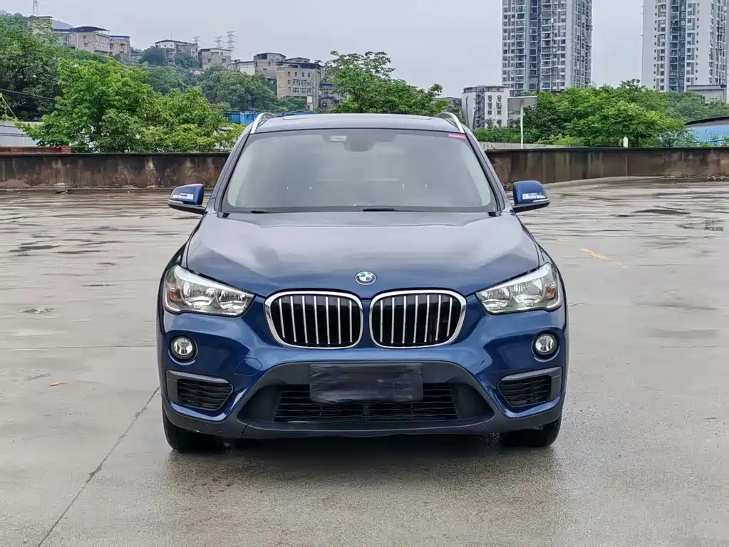 BMW X1 — миниатюра 2