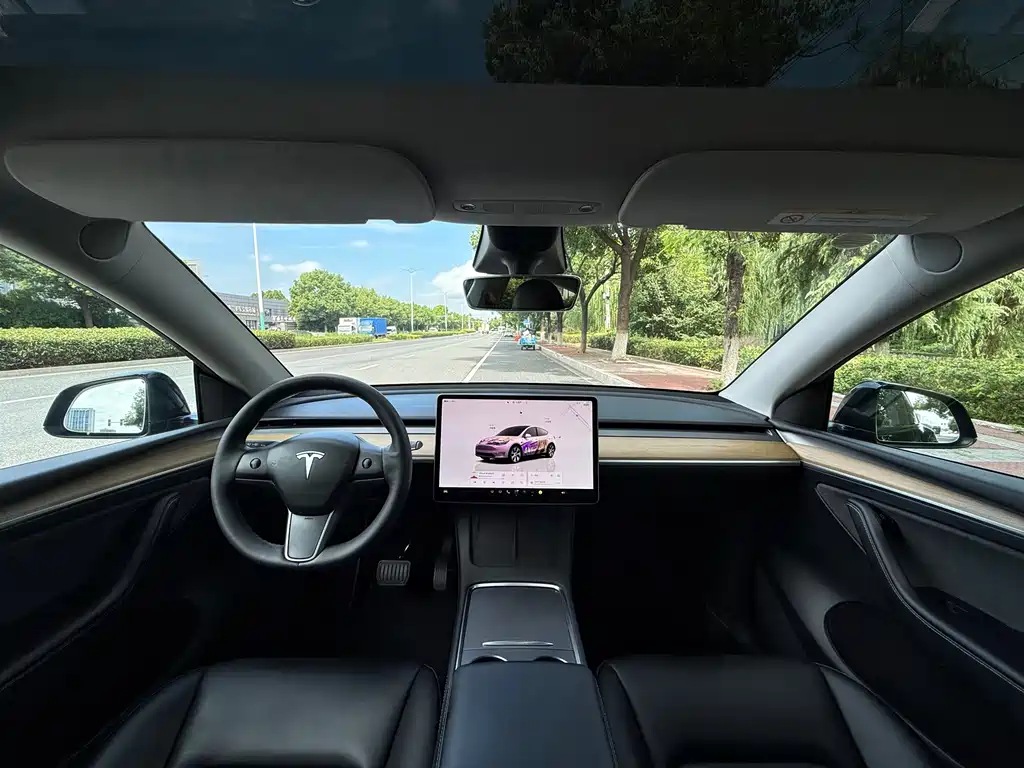 Tesla Model Y — миниатюра 15
