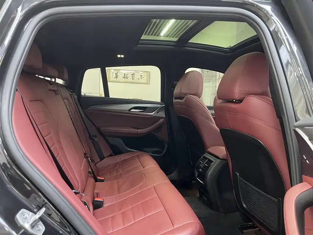 BMW X4 xDrive 25i M Sport Night Package, фото 18