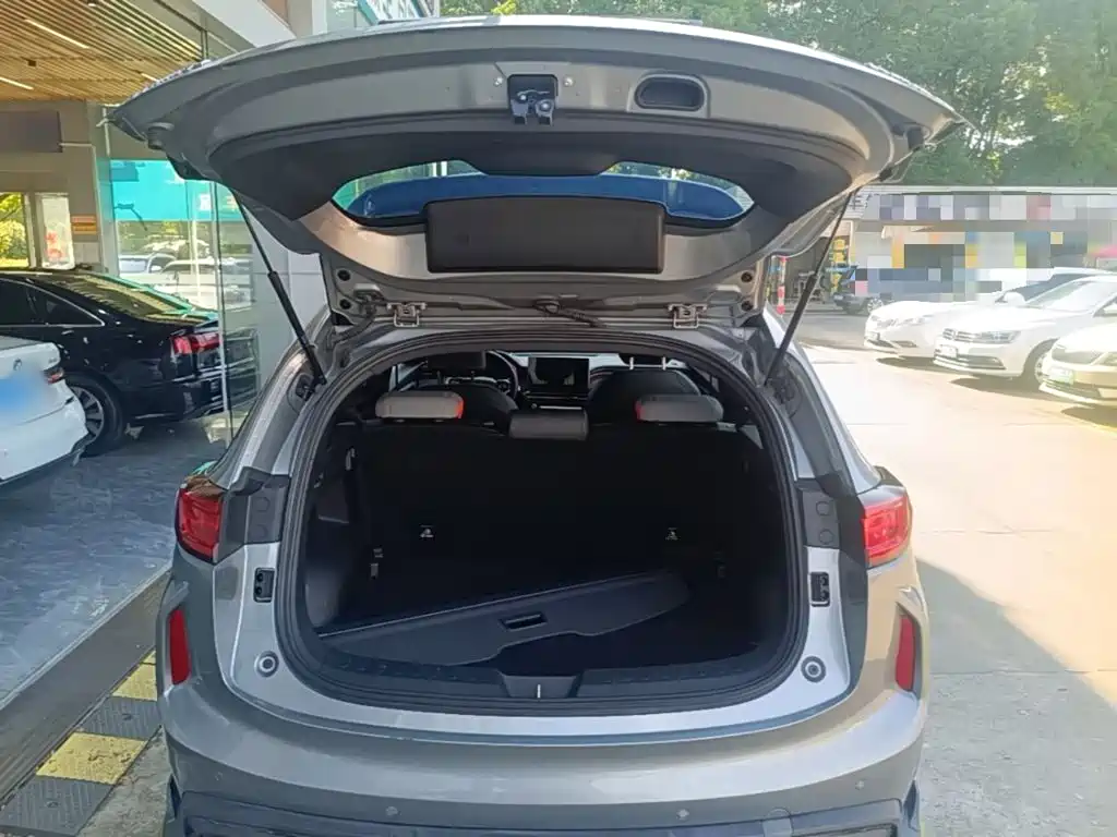 Haval Chitu — миниатюра 19