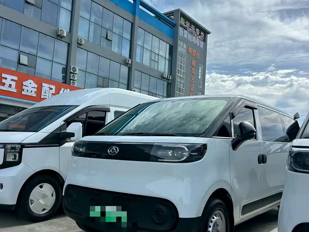Maxus V1