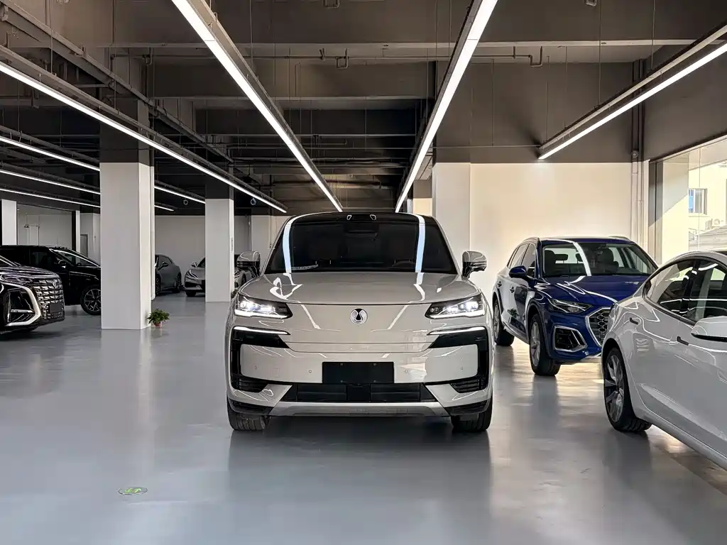 Denza Denza N9 — миниатюра 2