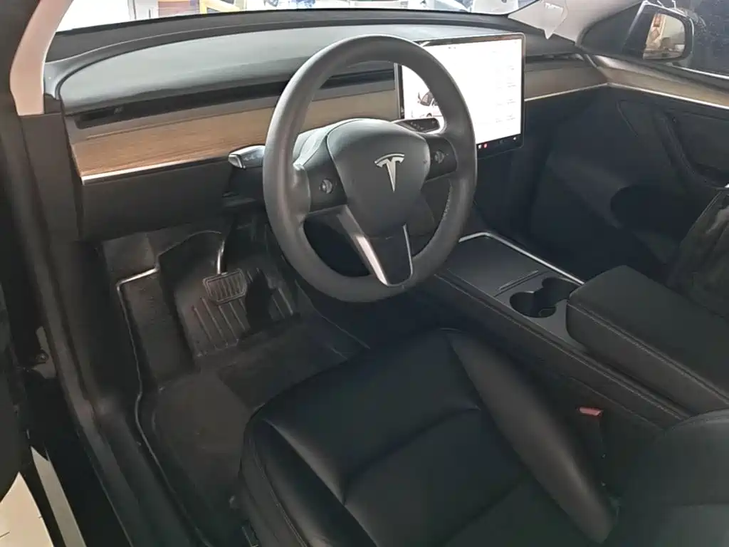 Tesla Model Y — миниатюра 10