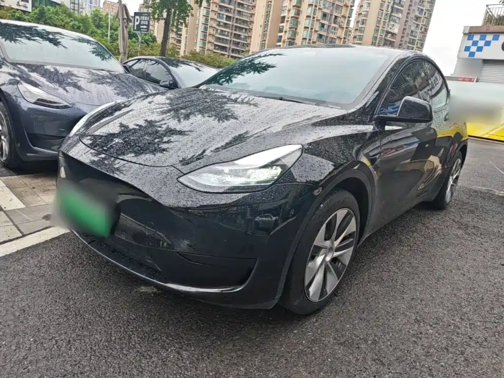 Tesla Model Y — миниатюра 2
