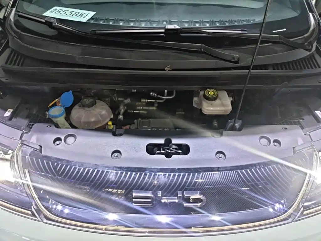 BYD Dolphin — миниатюра 20