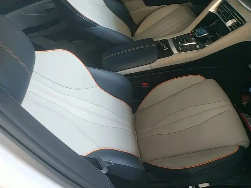 BYD PLUS New Energy — миниатюра 25