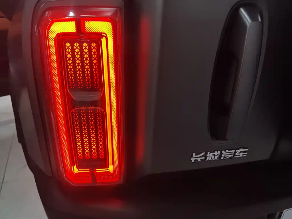 Haval Menglong New Energy — миниатюра 24