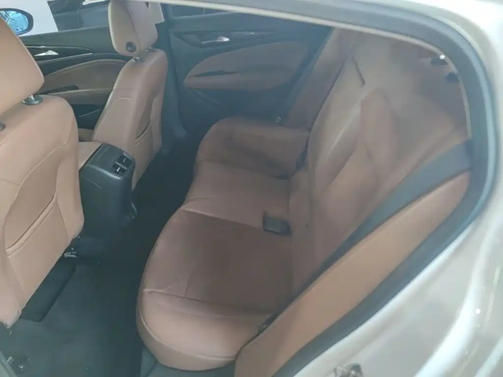 Buick Regal — миниатюра 17