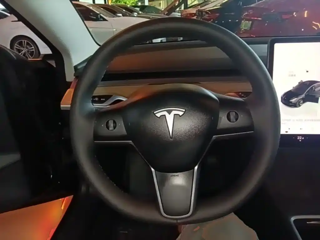 Tesla Model 3 — миниатюра 11