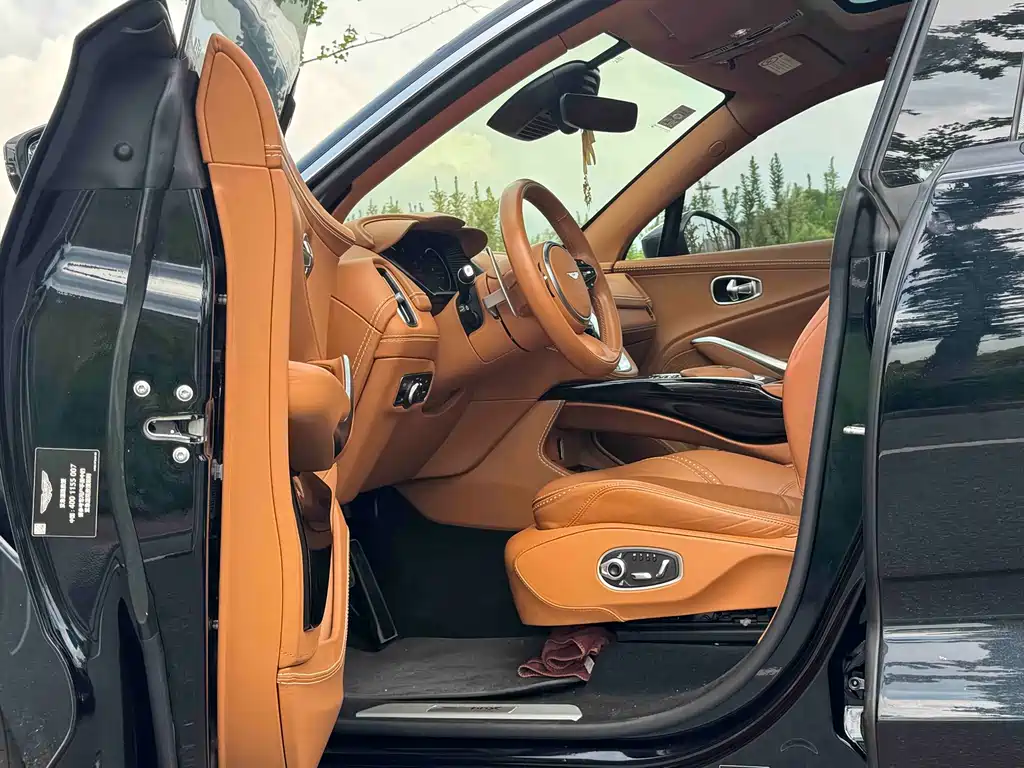 Aston Martin DBX — миниатюра 8