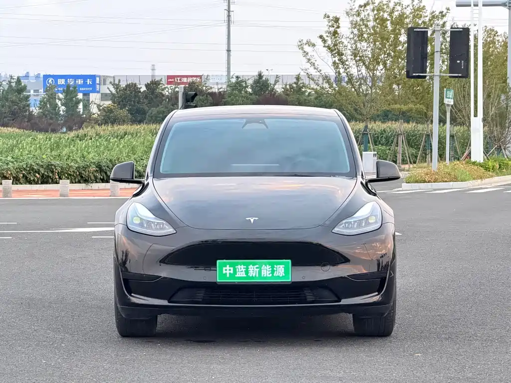 Tesla Model Y — миниатюра 2