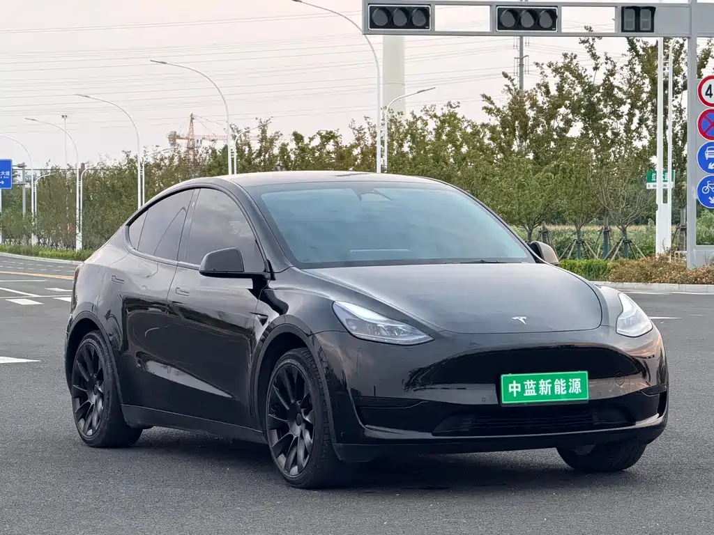 Tesla Model Y — миниатюра 3