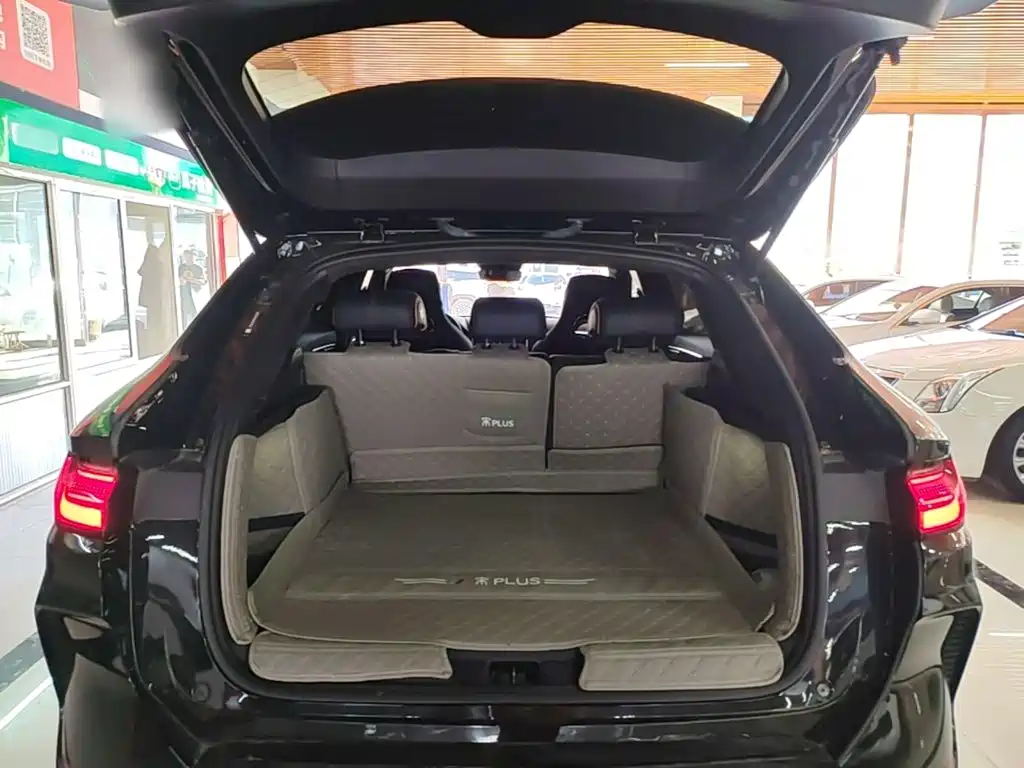 BYD PLUS New Energy — миниатюра 19