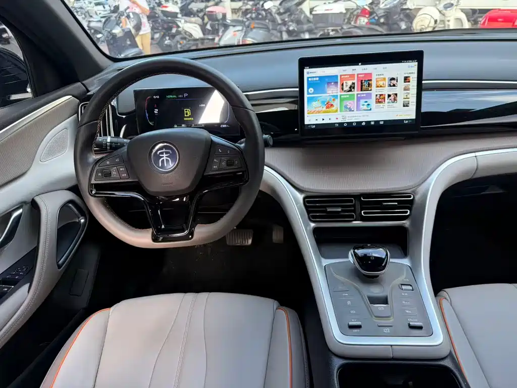 BYD Pro New Energy — миниатюра 7