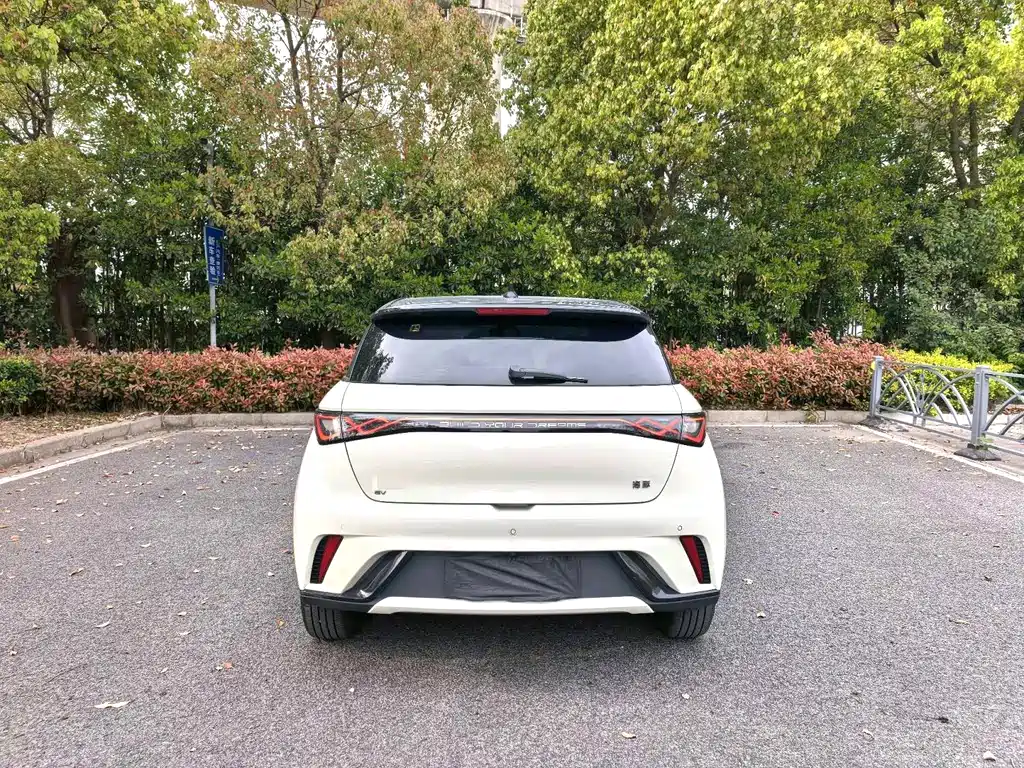 BYD Dolphin - фото 7