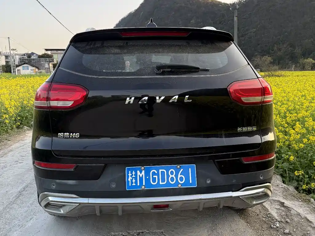 HAVAL H6
