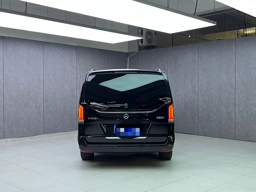 Mercedes-Benz V-Class V 2024 V 300 L Luxury
