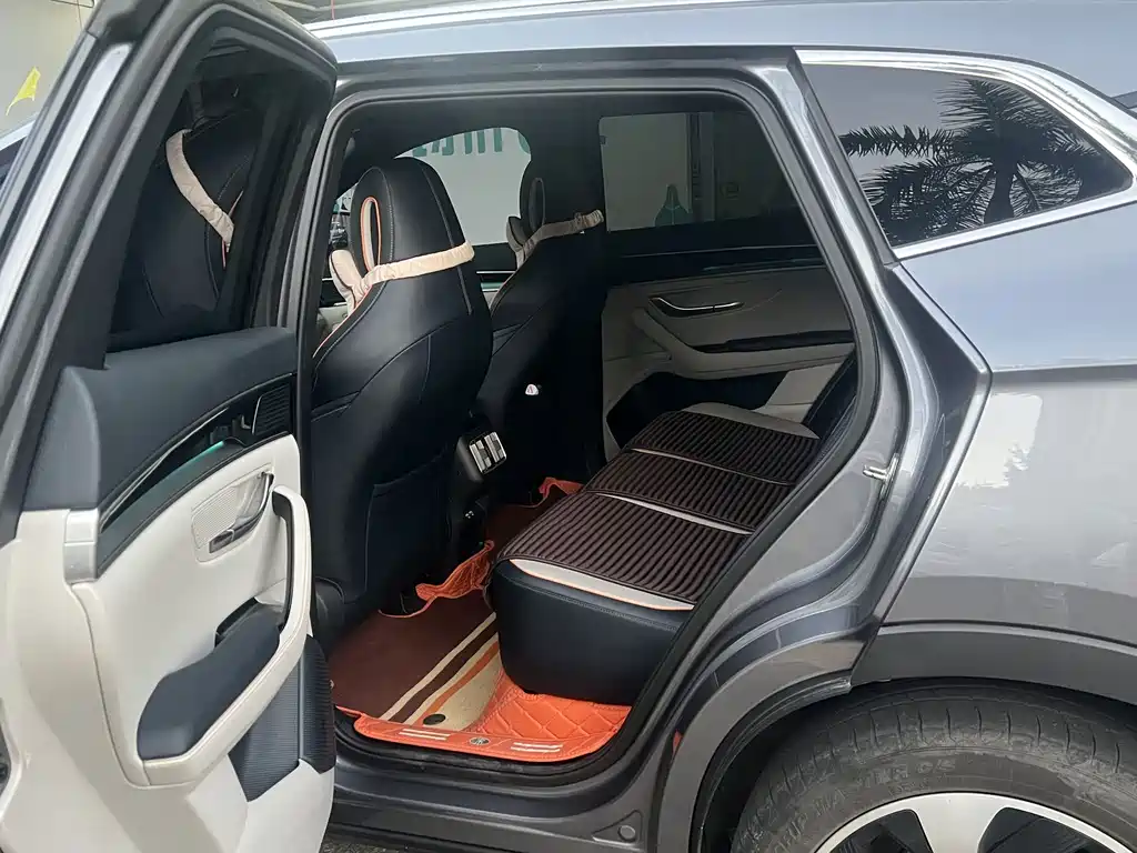 BYD PLUS New Energy — миниатюра 4