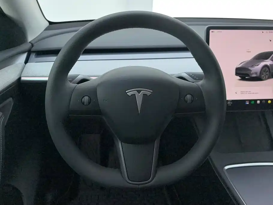 Tesla Model Y — миниатюра 15