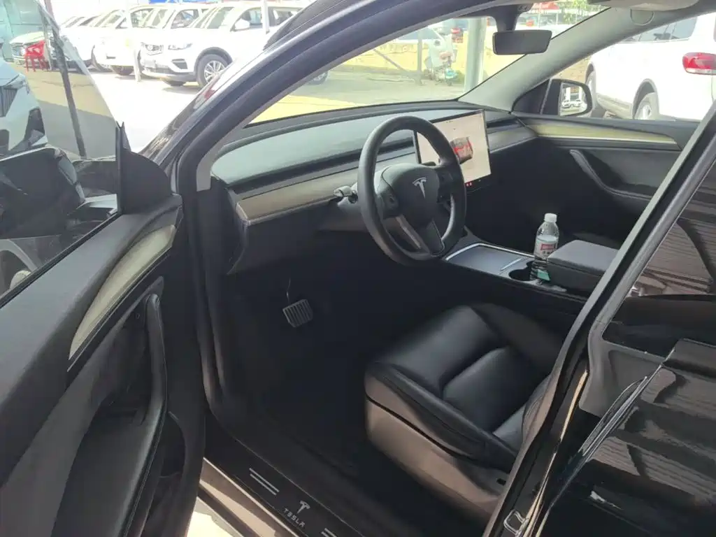 Tesla Model Y — миниатюра 16