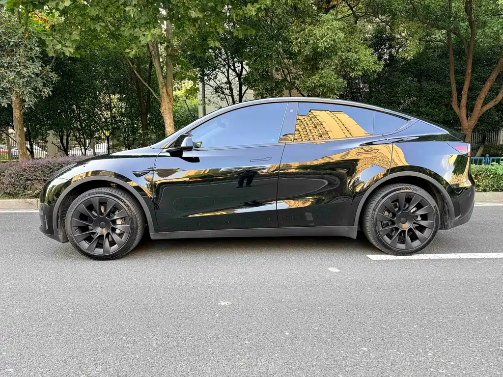 Tesla Model Y — миниатюра 5