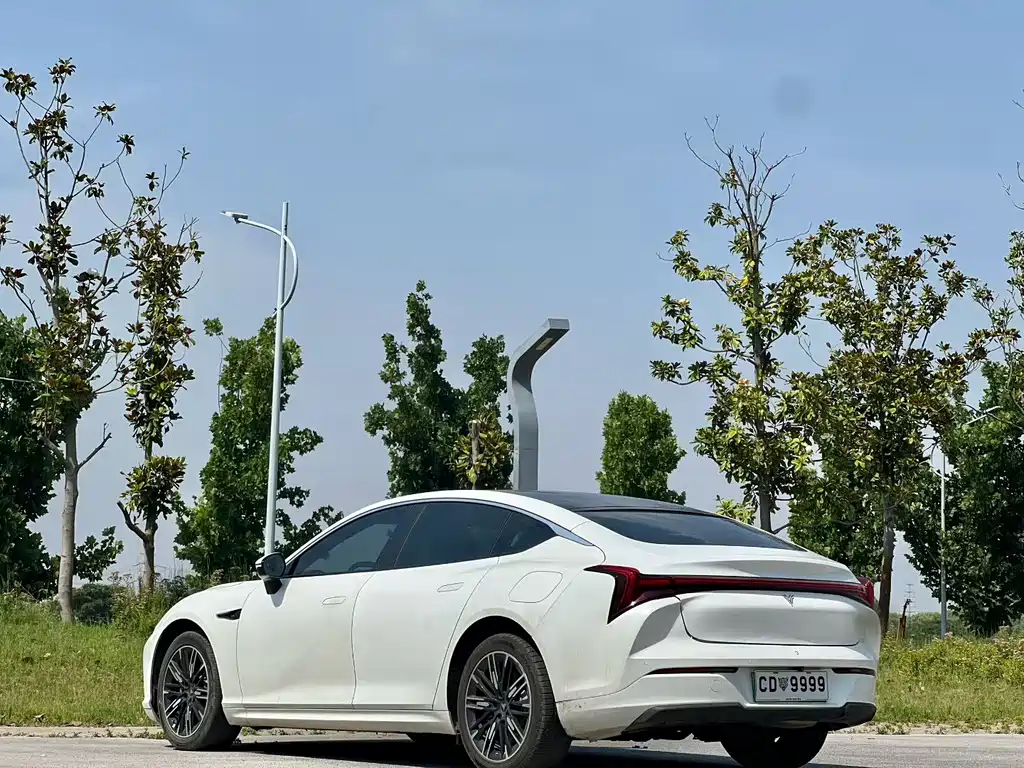 Neta S 2024 1160