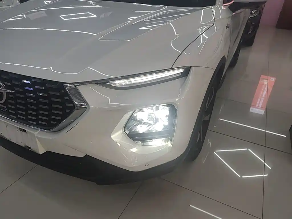 Haima Haima 8S — миниатюра 24