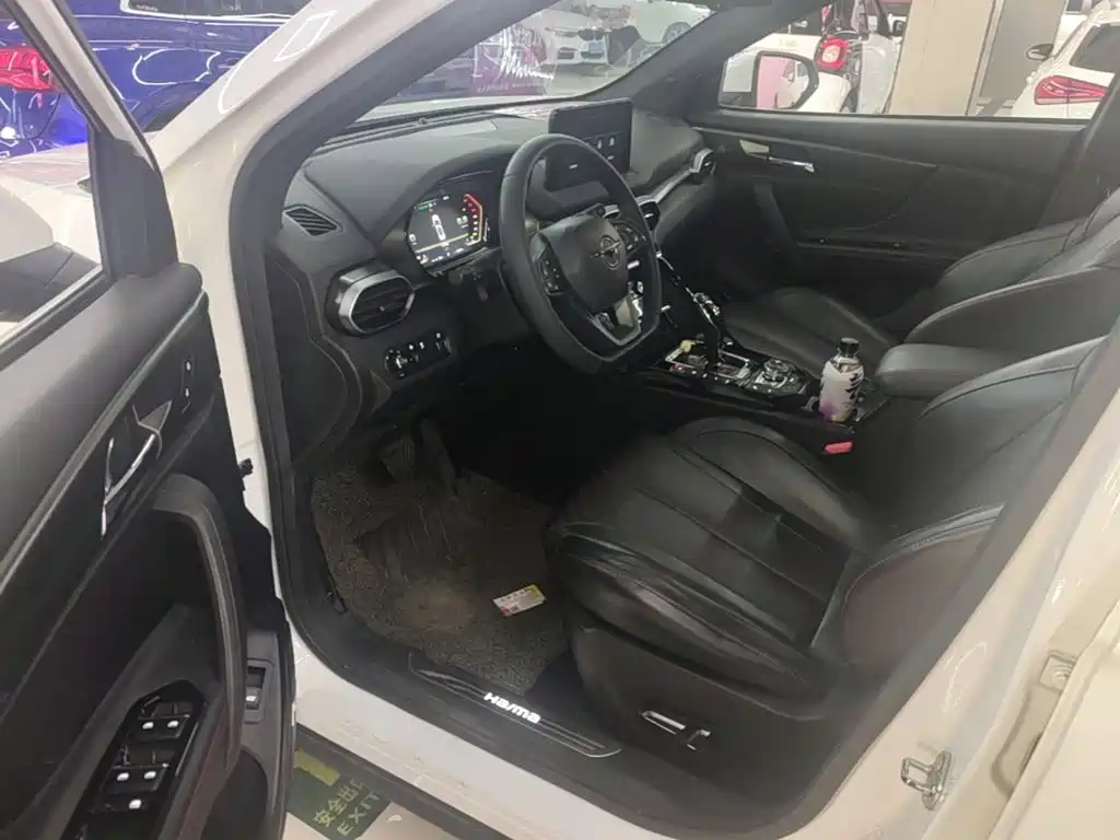 Haima Haima 8S — миниатюра 16